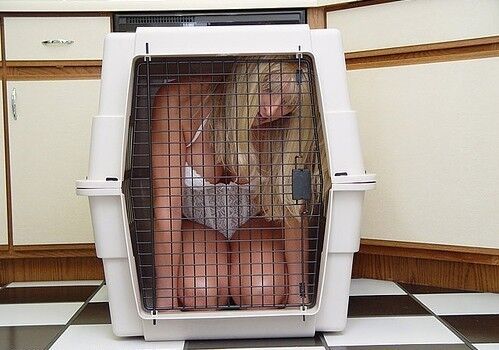 Free porn pics of Kept in a Dog Cage 21 of 36 pics