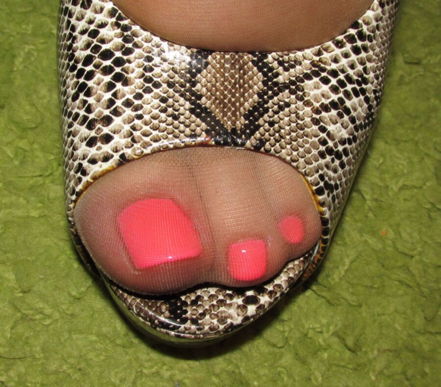 Free porn pics of Tan pantyhose opentoe snake high heels and pink gel pedicure 1 of 13 pics