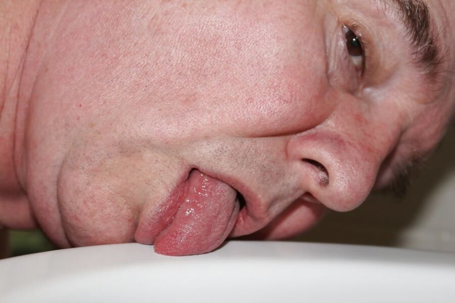 Free porn pics of Licking and Kissing My Toilet Seat, Rim, and Bowl 3 of 9 pics