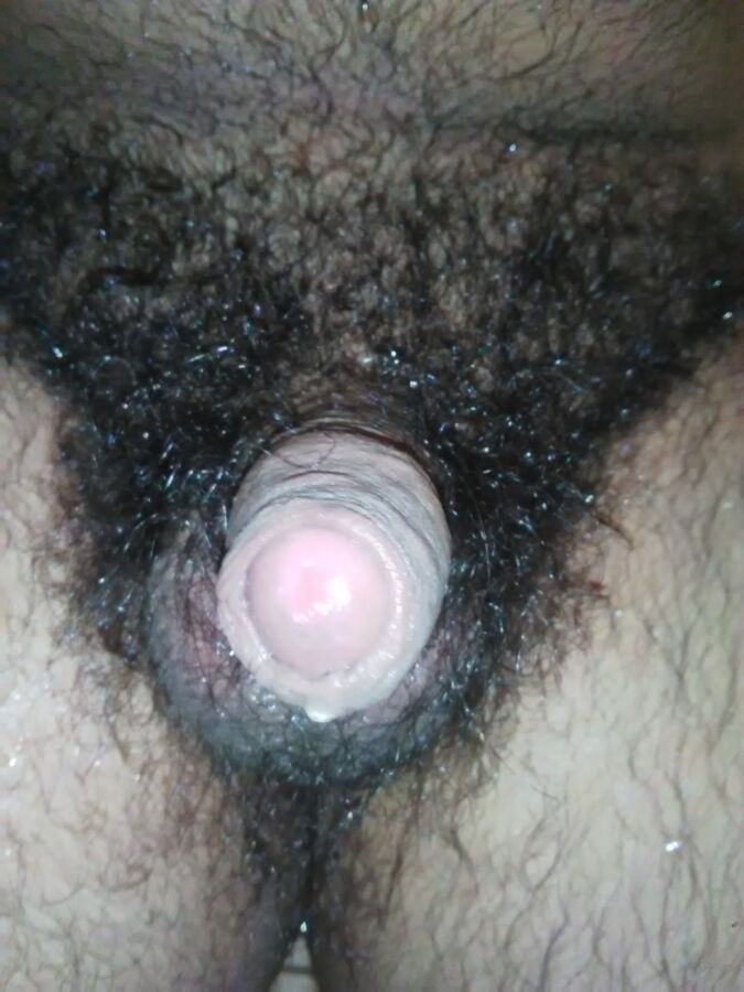 Free porn pics of My lil Hairy Dick 1 of 4 pics