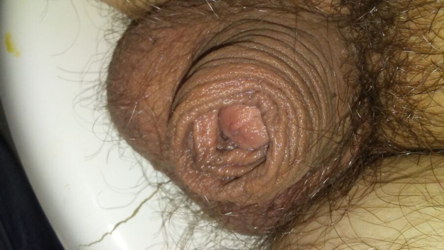 Free porn pics of Cute Soft Hairy Cock Sleeping ( 3 of 10 pics