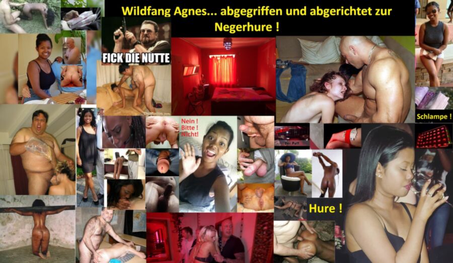 Free porn pics of Objekt Agnes - Eingefangen und abgerichtet zur Negerhure 1 of 1 pics