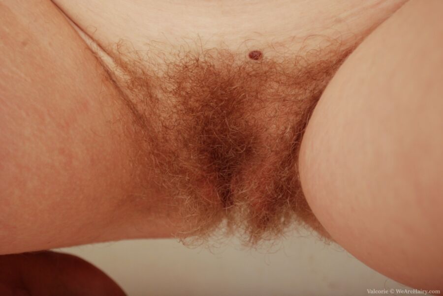 Free porn pics of hairy red bush 18 of 36 pics