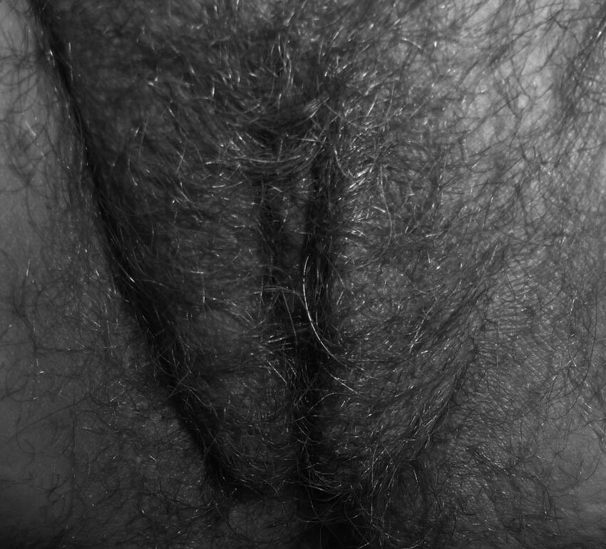 Hairy Porn Pic Hairy Milf Fucked