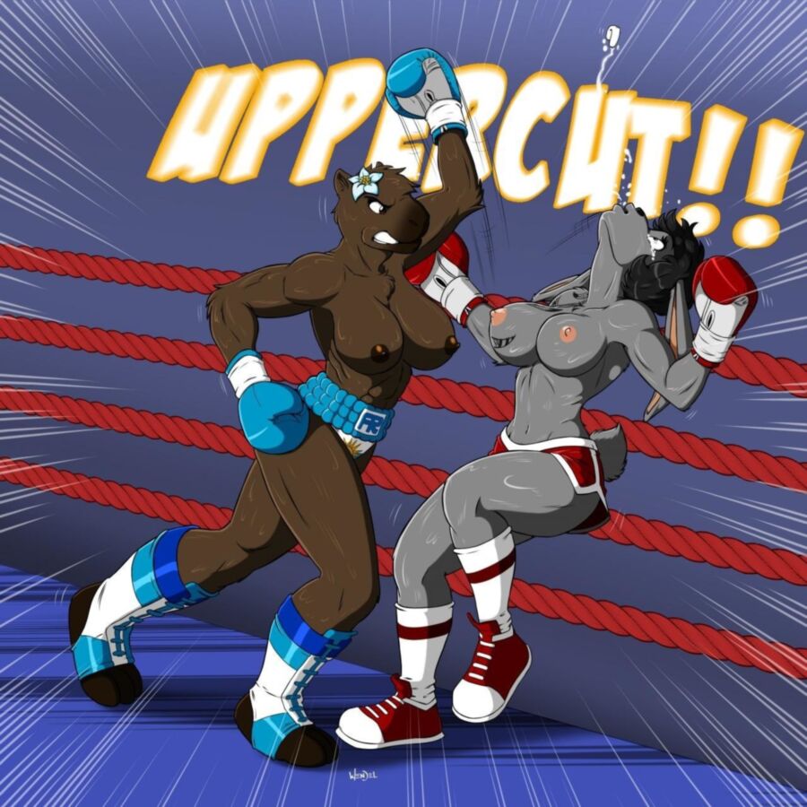 Free porn pics of Furry Fighting Girls.. (lesbian / cartoon / furries) 3 of 24 pics