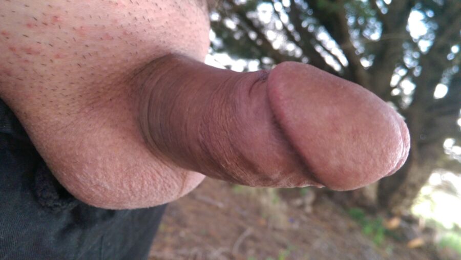 Free porn pics of Cock in the Garden 6 of 24 pics
