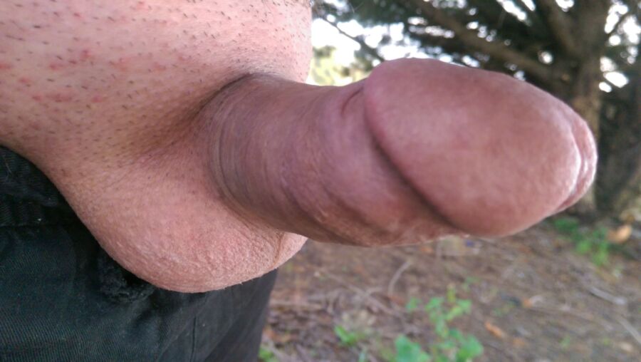 Free porn pics of Cock in the Garden 5 of 24 pics