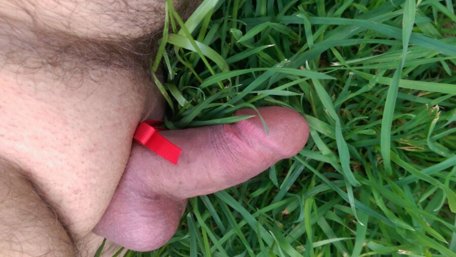 Free porn pics of Cock in the Garden 12 of 24 pics