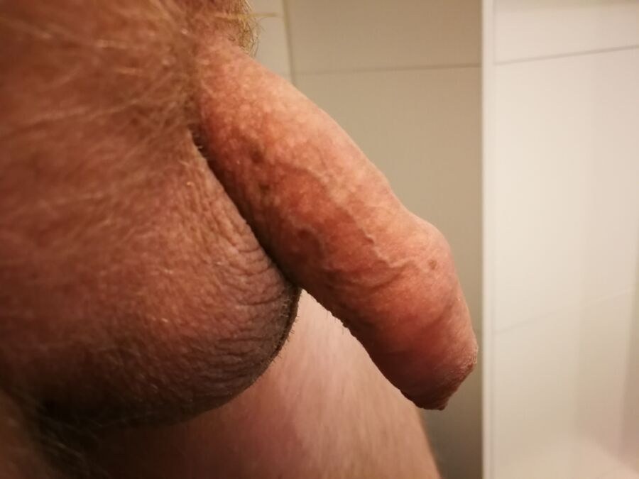 Free porn pics of Hairy dick 14 of 17 pics