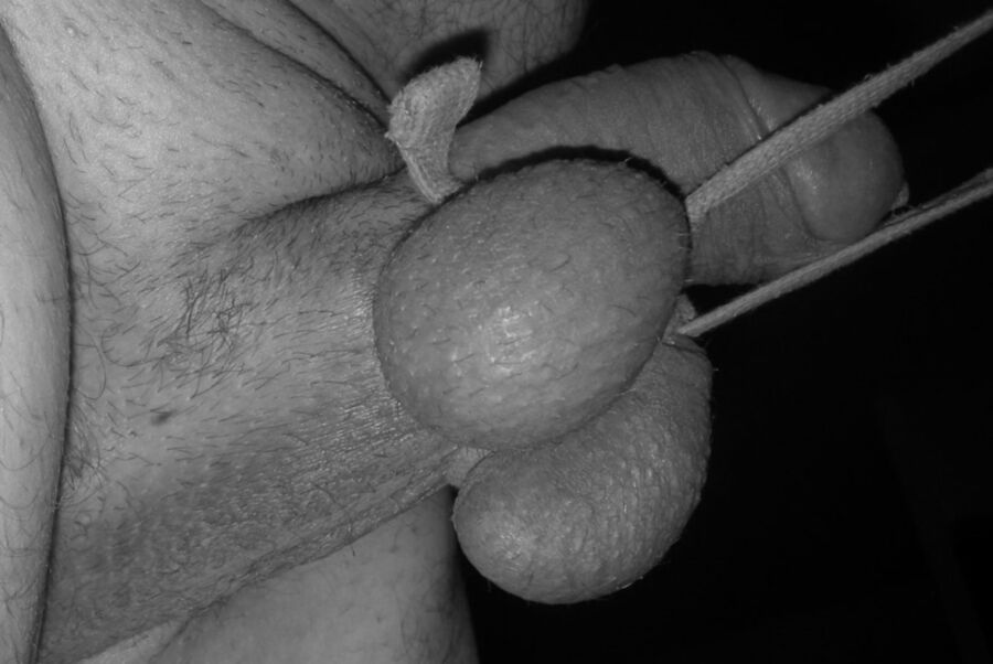 Free porn pics of tied balls 3 of 11 pics