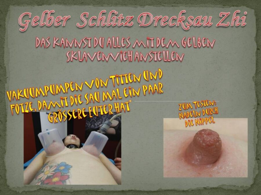 Free porn pics of Gelber Schlitz Drecksau Zhi - Nutzungsbedingungen 8 of 18 pics