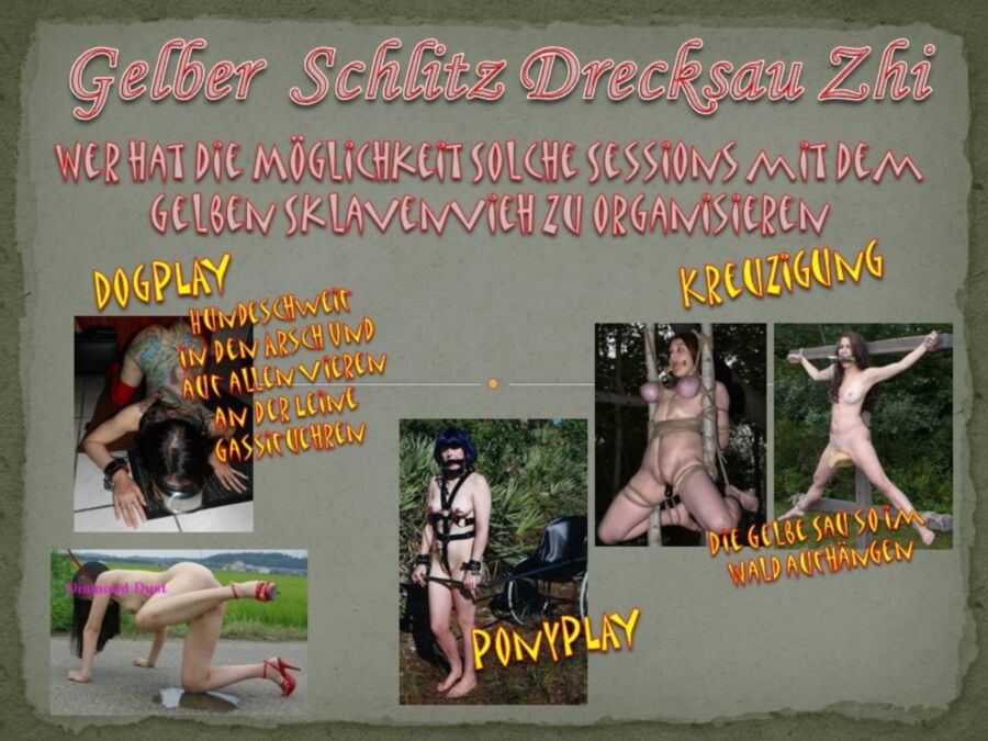 Free porn pics of Gelber Schlitz Drecksau Zhi - Nutzungsbedingungen 17 of 18 pics