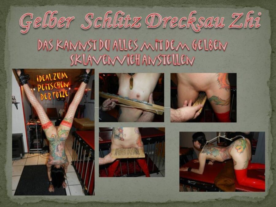 Free porn pics of Gelber Schlitz Drecksau Zhi - Nutzungsbedingungen 9 of 18 pics