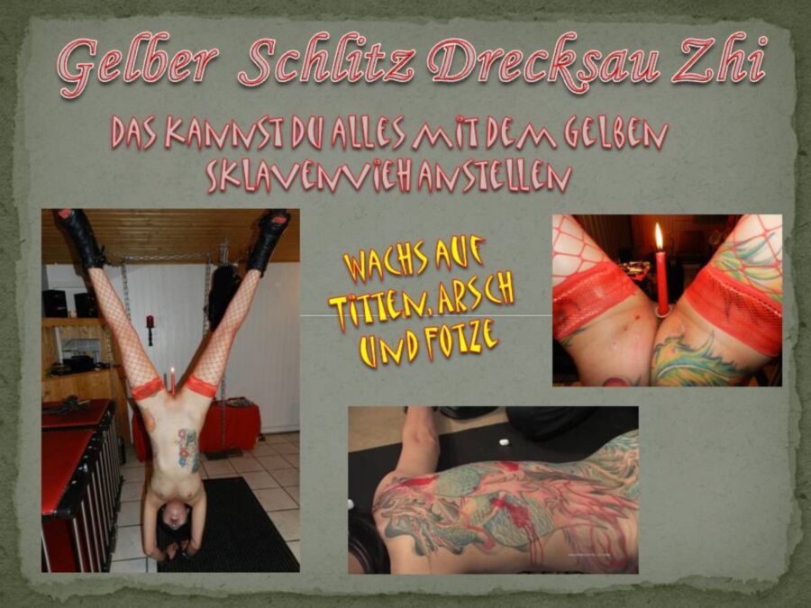Free porn pics of Gelber Schlitz Drecksau Zhi - Nutzungsbedingungen 3 of 18 pics