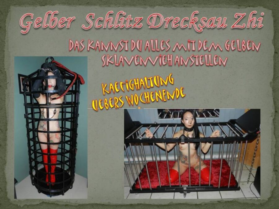 Free porn pics of Gelber Schlitz Drecksau Zhi - Nutzungsbedingungen 13 of 18 pics