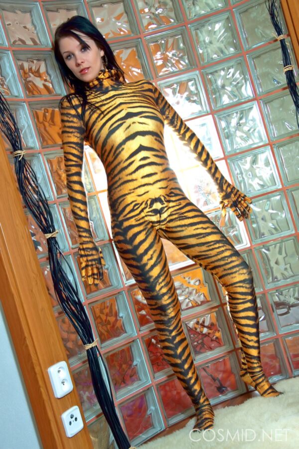 Free porn pics of Cosmid: tiger stripes 12 of 120 pics