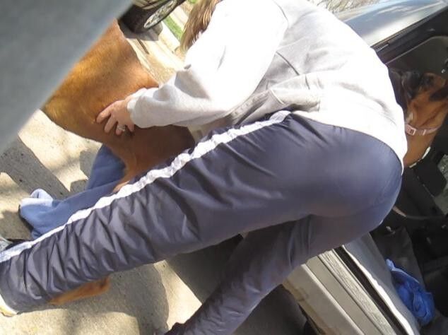 Free porn pics of Candid VPL - Athletic Pants 2 of 16 pics