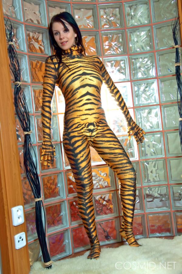 Free porn pics of Cosmid: tiger stripes 13 of 120 pics