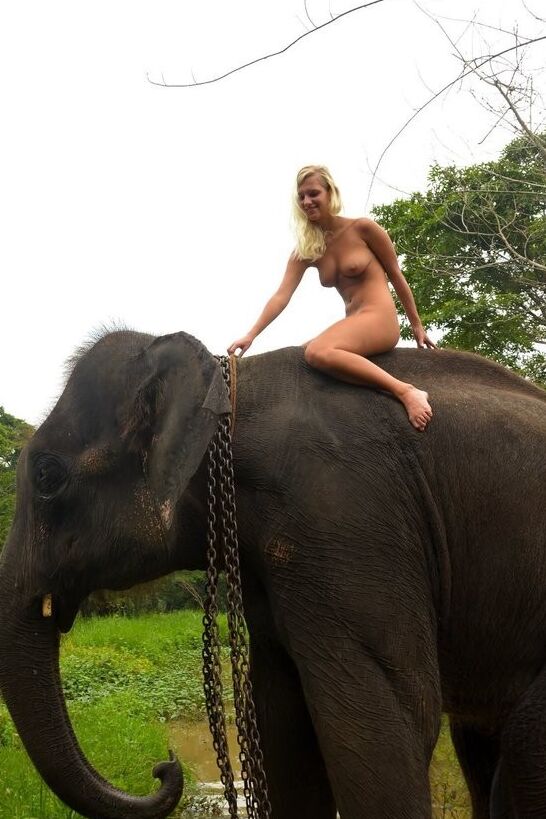 Free porn pics of Girls and her best friends: Elephants 8 of 18 pics