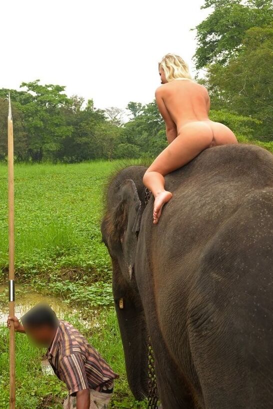Free porn pics of Girls and her best friends: Elephants 6 of 18 pics