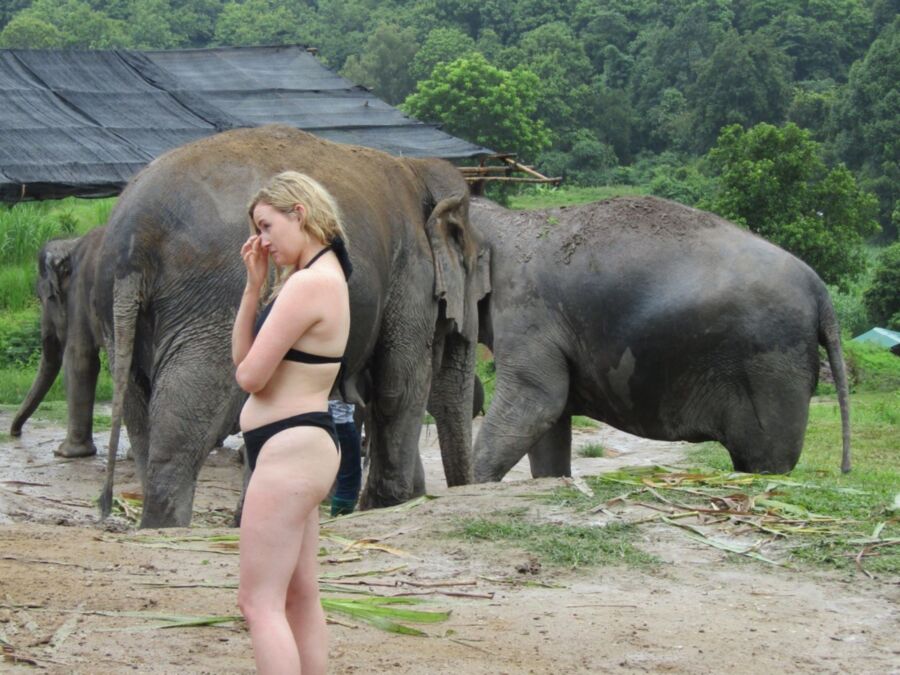 Free porn pics of Girls and her best friends: Elephants 10 of 18 pics