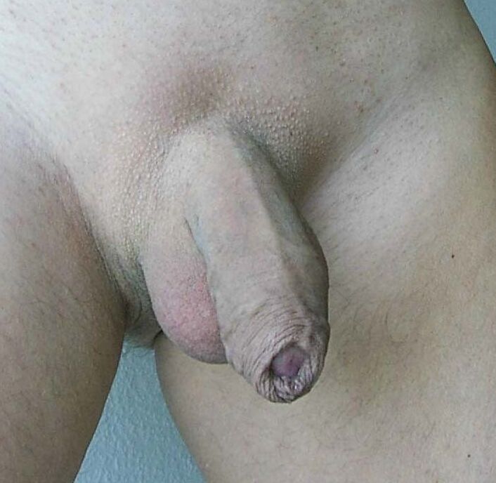 Free porn pics of my penis 1 of 7 pics