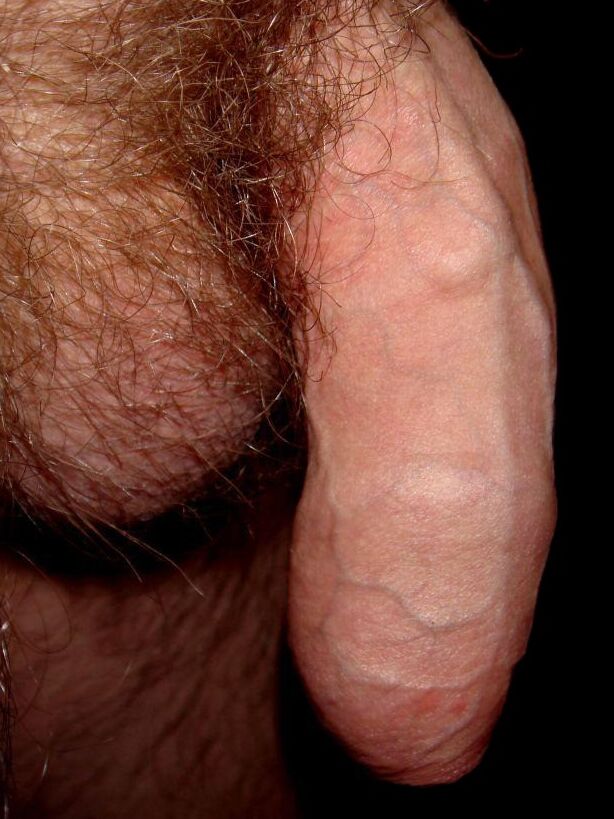 Free porn pics of My Hairy Bits 20 of 30 pics