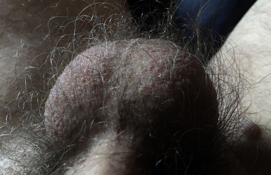 Free porn pics of My Hairy Bits 14 of 30 pics