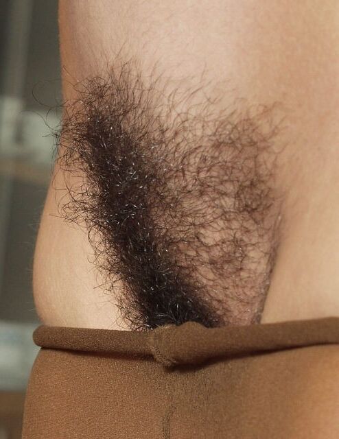 Free porn pics of Hairy teasers 8 of 93 pics