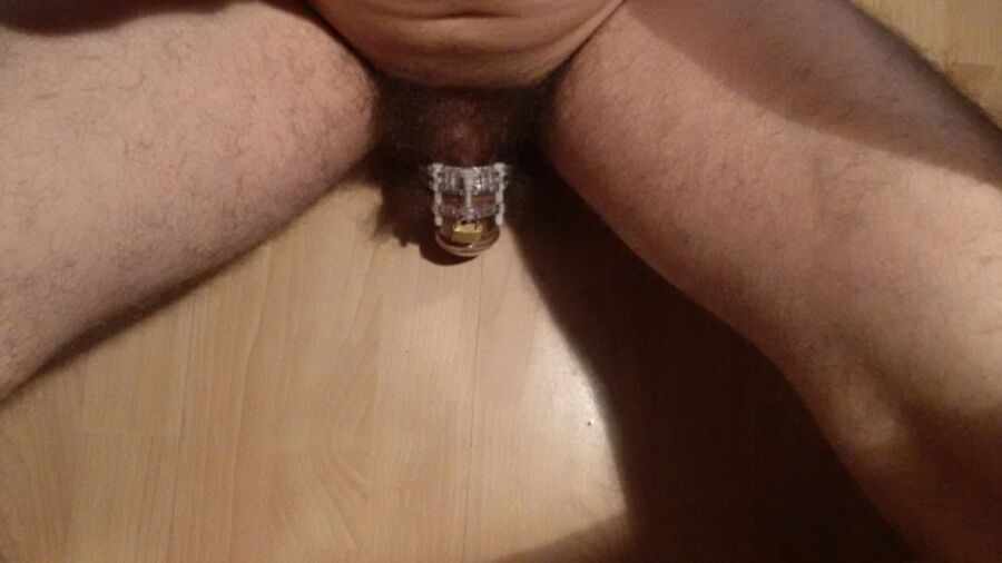 Free porn pics of Kept in chastity belt useless premature ejaculator loser 6 of 50 pics