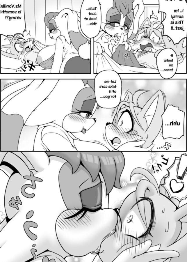 Free porn pics of Sonic Comix: Vanilla x Tails 9 of 14 pics