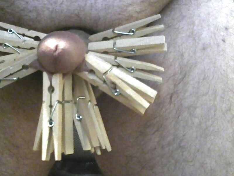 Free porn pics of Cock and ball torture with clothespins  10 of 12 pics