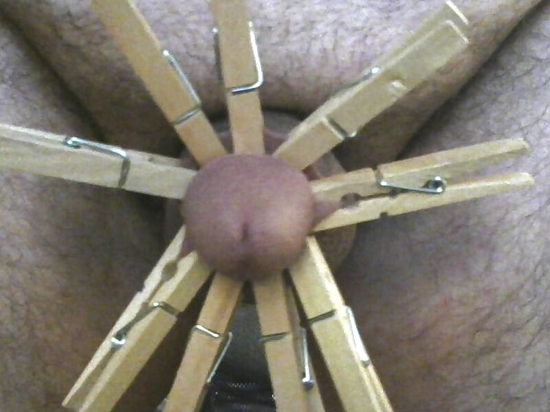 Free porn pics of Cock and ball torture with clothespins  6 of 12 pics