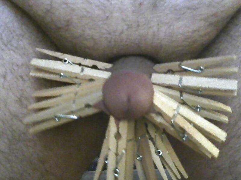 Free porn pics of Cock and ball torture with clothespins  11 of 12 pics