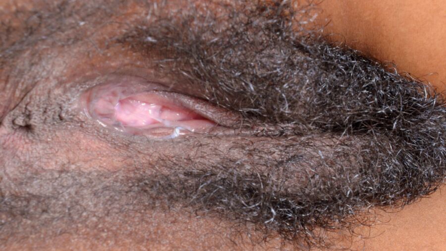 Free porn pics of Black Ebony Hairy Bush Scary Pussies Collection 10 of 12 pics