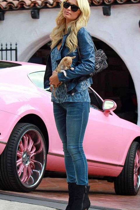 Free porn pics of Paris Hilton wearing blue jeans 9 of 10 pics