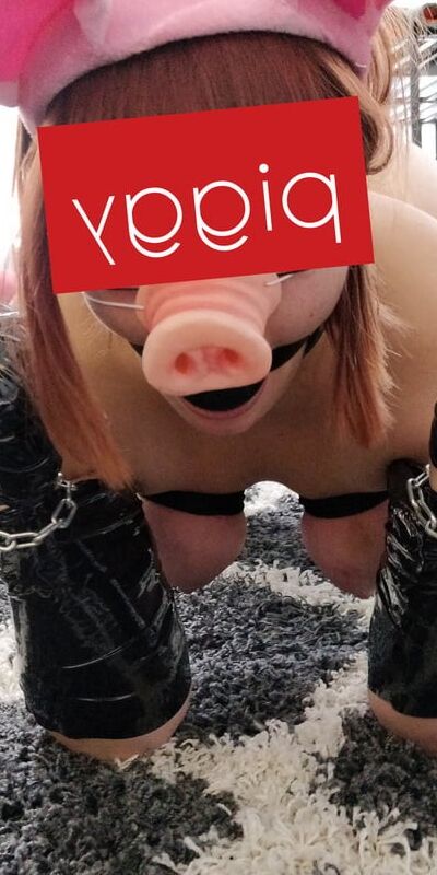 Free porn pics of Fuck-Pig-Gag 17 of 22 pics