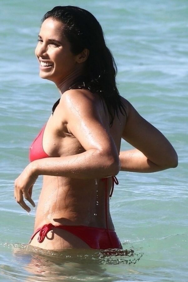 Free porn pics of Padma Lakshmi - Busty Sexy Indian Babe Flaunts her Boobs, Pokies 10 of 150 pics