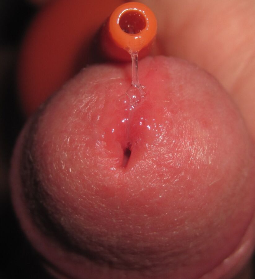 Free porn pics of Sperma (Feeding, milking) 16 of 118 pics