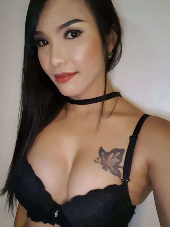 Free porn pics of thai chicks are the hottest 12 of 26 pics