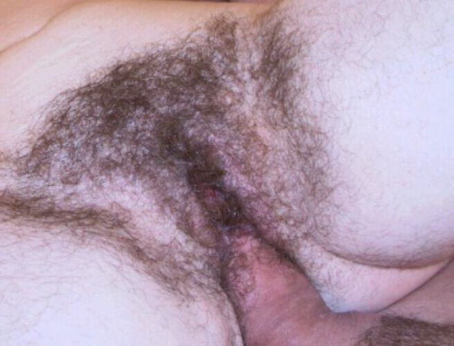 Free porn pics of Unknown Hairy Amateur 10 of 14 pics