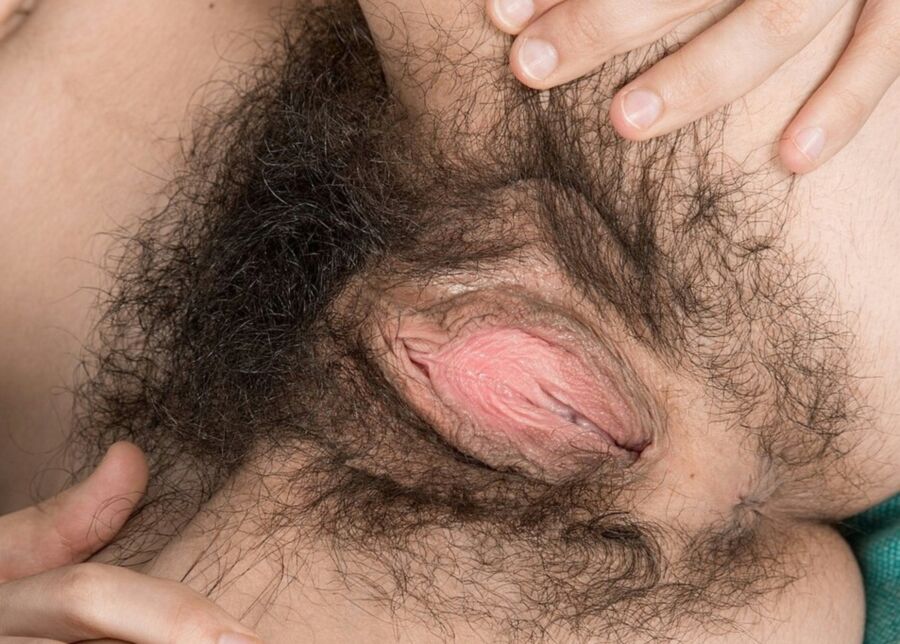 Free porn pics of Hairy Pussy One 13 of 22 pics