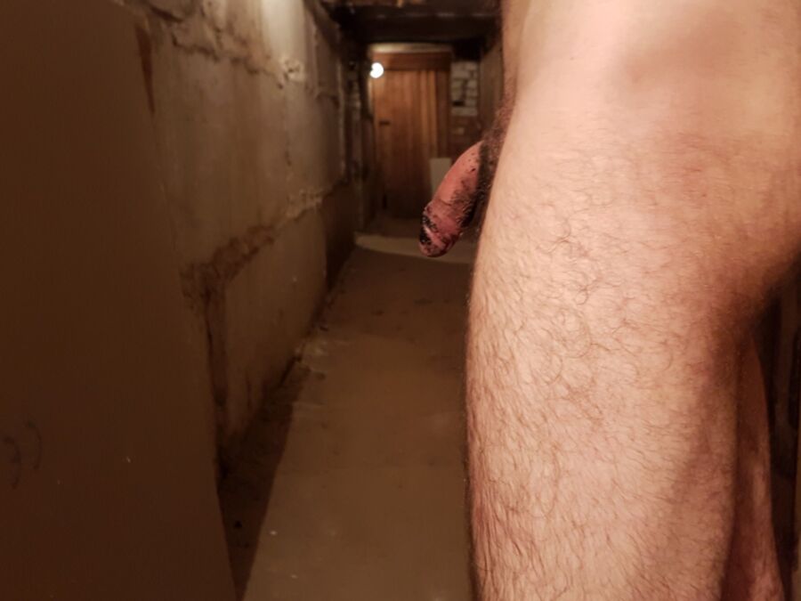 Free porn pics of Will you notice a camouflaged dick while my exhib running? 22 of 24 pics