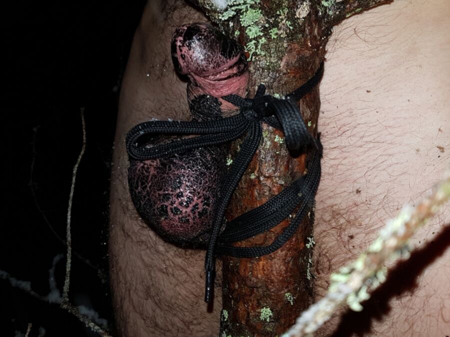 Free porn pics of Will you notice a camouflaged dick while my exhib running? 14 of 24 pics