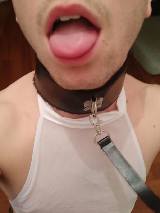 Free porn pics of Comment vous trouvez mon nouveau collier? 11 of 13 pics