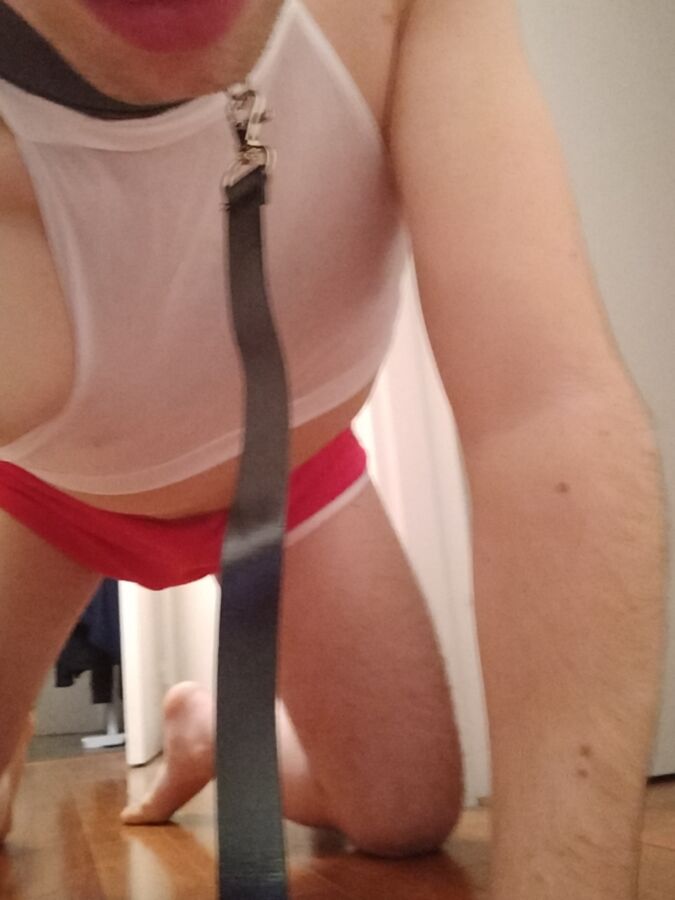 Free porn pics of Comment vous trouvez mon nouveau collier? 7 of 13 pics