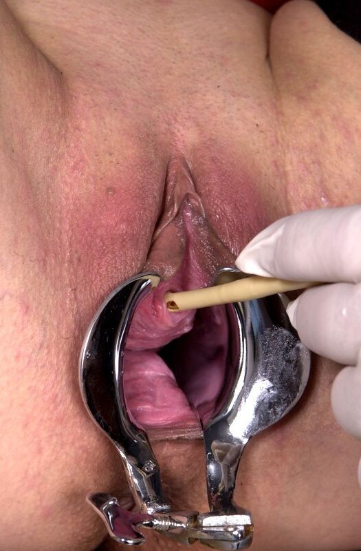 Zwergin Vagina Extrem Femdom