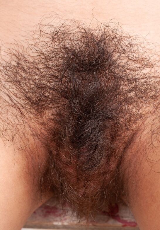 Free porn pics of Pussy hairy  11 of 27 pics