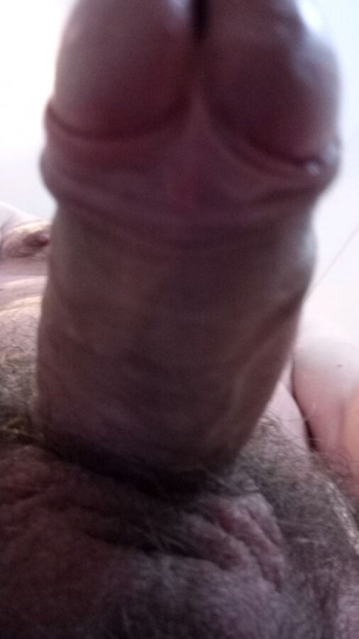 Free porn pics of My Cock (unshaven) 9 of 9 pics