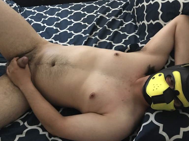 Free porn pics of Puppy Fags 10 of 15 pics